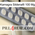 Kamagra Sildenafil 100Mg 08